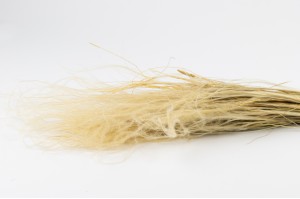 stipe-plumeuse-seche-naturelle-20.