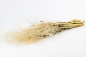 stipe-plumeuse-seche-naturelle-20.