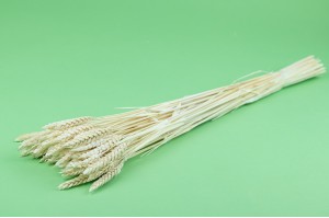 dried-wheat-whitecream-11.