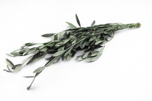 preserved-provencal-olive-green-6.
