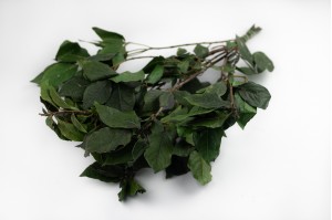 preserved-laurel-green-it.