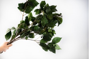 preserved-laurel-green-it.