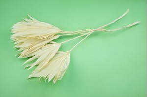 kleine-trockene-palme-weiss-creme-7