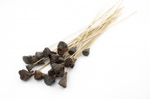 dried-mini-lotus-natural.