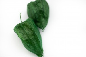 preserved-physalis-green