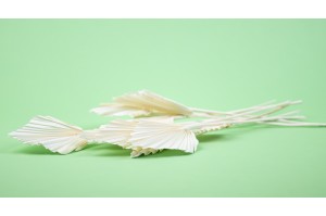 dried-mini-palm-spear-12.