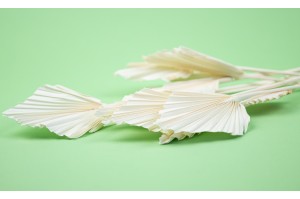 dried-mini-palm-spear-12.