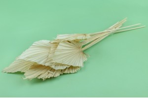 dried-palm-spear-7.