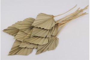 dried-palm-spear-8.