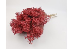 dried-broom-bloom-18.