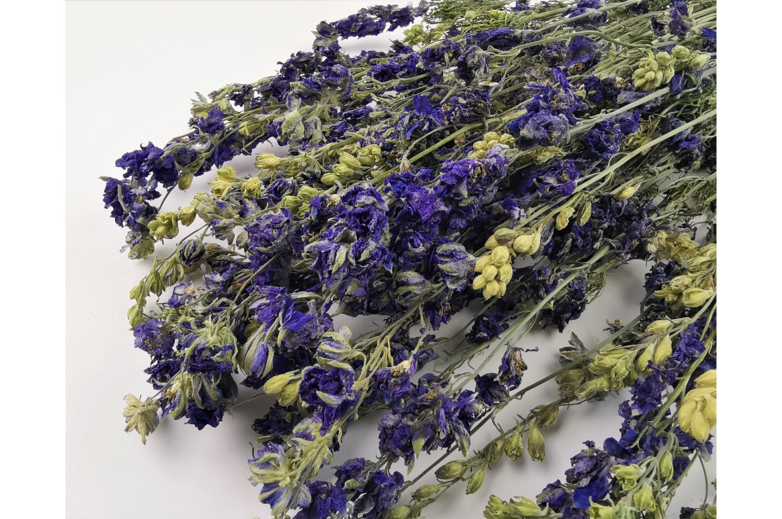 dried-delphinium-8