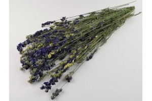 dried-delphinium-8.