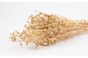 dried-flax-18.