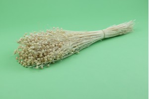 dried-flax-8.
