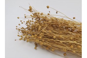 dried-flax-8