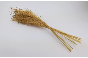 dried-flax-8.