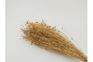 dried-flax-8.