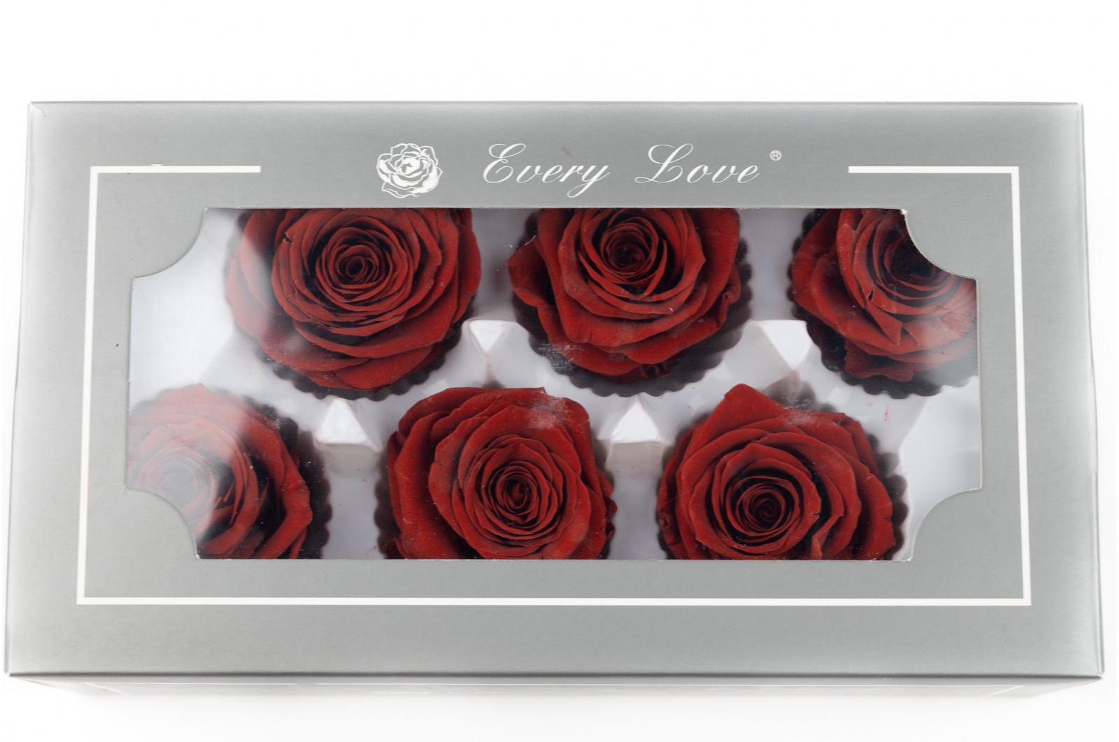 PHOCEALYS │Têtes de roses stabilisées │vente aux pros│Grossiste