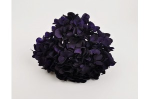 preserved-hydrangea-14.