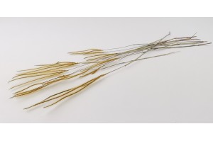 dried-ouro-grass-8.