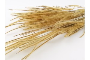 dried-ouro-grass-8