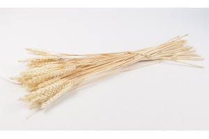 dried-wheat-20.