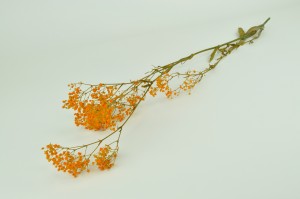 preserved-gypsophila-8.