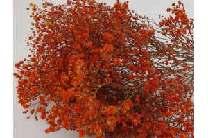gypsophile-stabilise-14