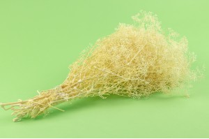 stabilisiertes-mini-gipskraut-7.