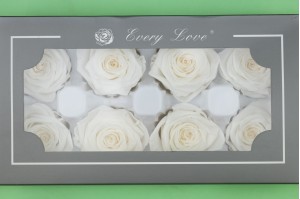 preserved-rose-heads-19.