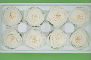 preserved-rose-heads-19.