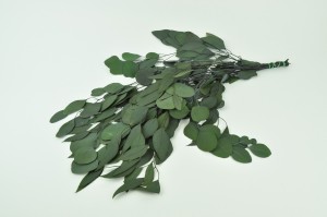 stabilisierte-eukalyptus-populus-11.
