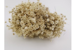 dried-glixia-7