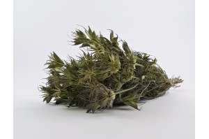 dried-nigella-orientalis-12.