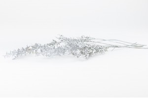 preserved-ruscus-20-.