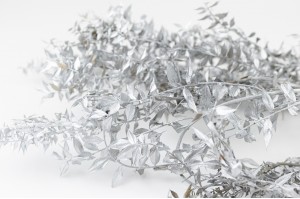 ruscus-sec-24-