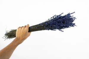 stabilisierter-lavendel-8.