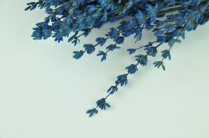 stabilisierter-lavendel-8