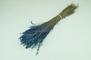 stabilisierter-lavendel-8.