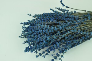 preserved-lavender-8.