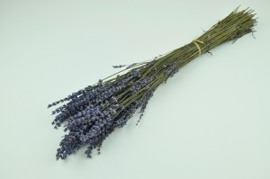 stabilisierter-lavendel-8.