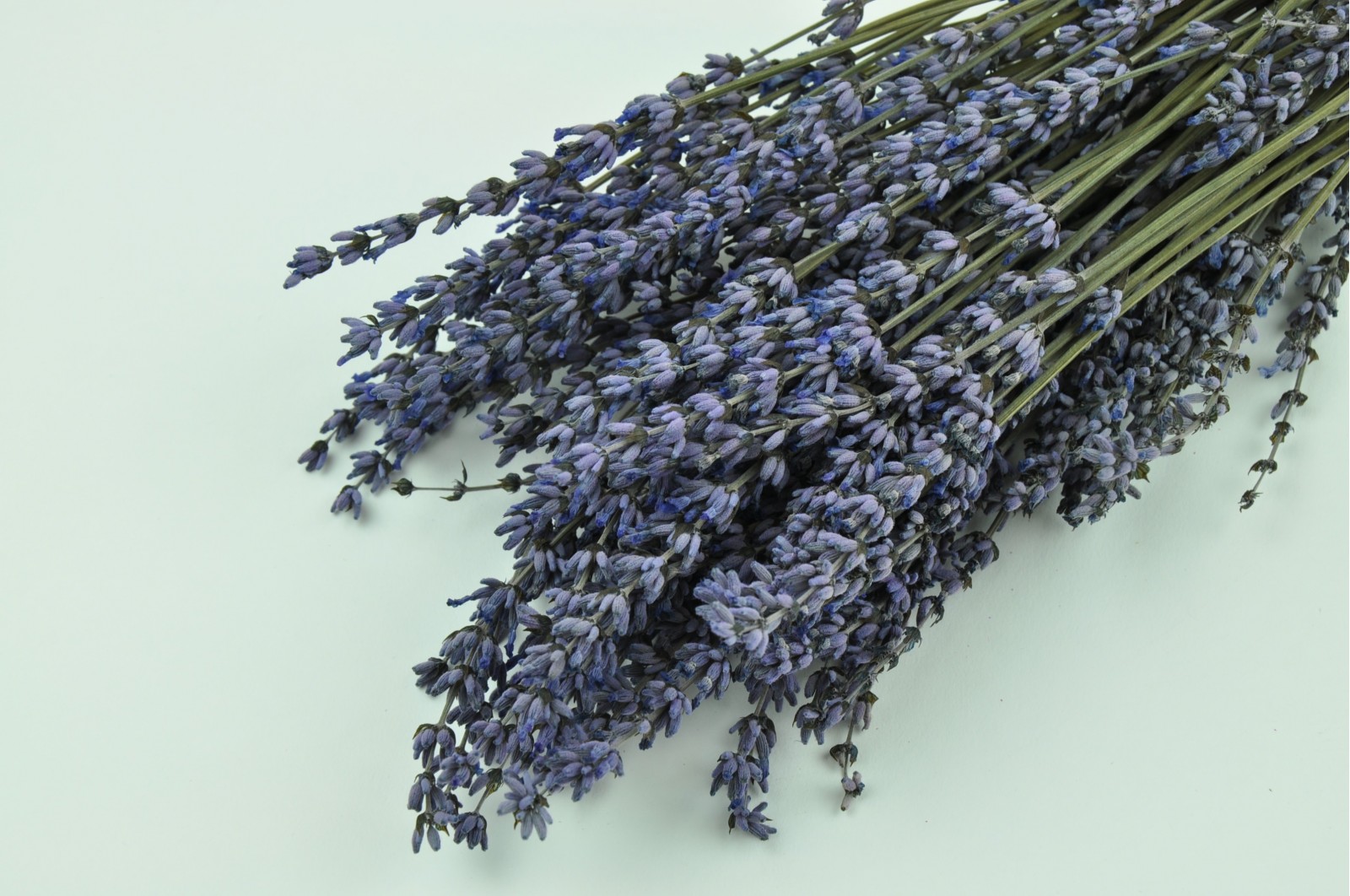 Preserved lavender (8) Preserved lavender (8)