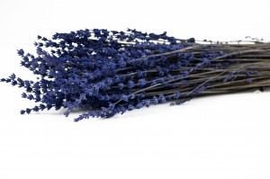 preserved-lavender-8.