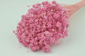 dried-hill-flower-8