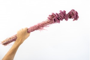 stabilisierter-achillee-filipendula-8.