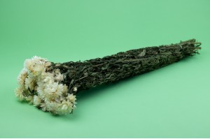 dried-helichrysum-8.