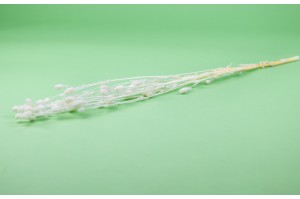 kleine-getrocknete-distel-19.