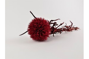preserved-echinops-8.