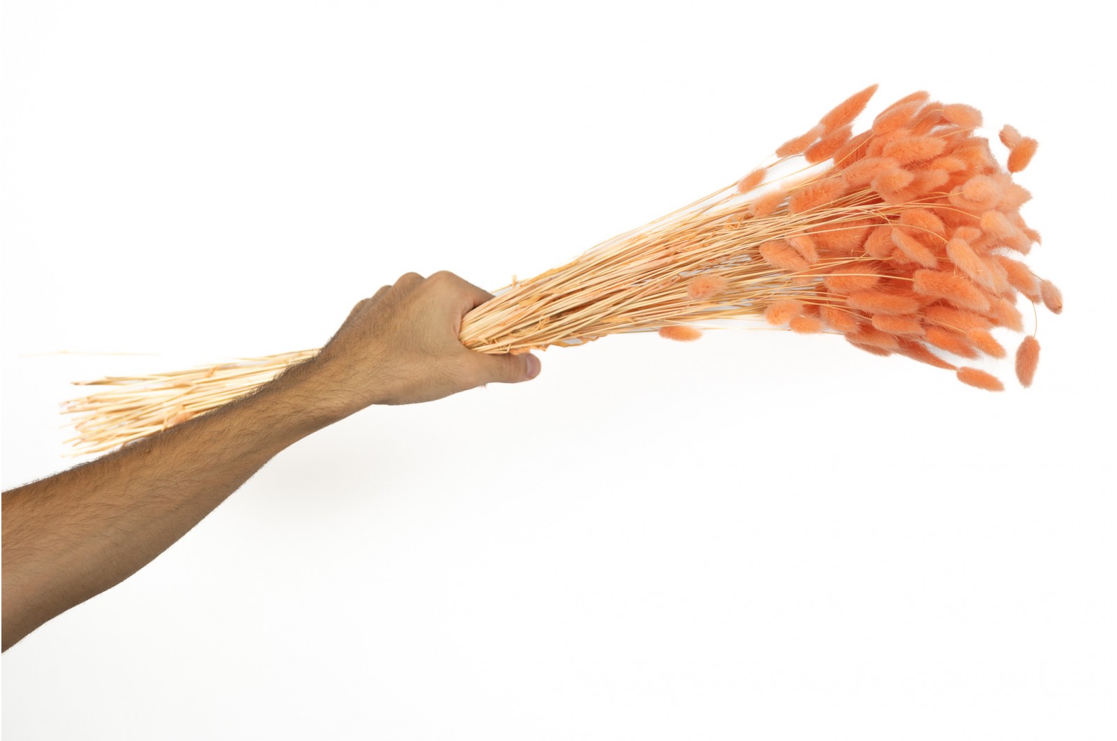 hypervenom stabilisé