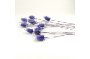 dried-thistle-12.